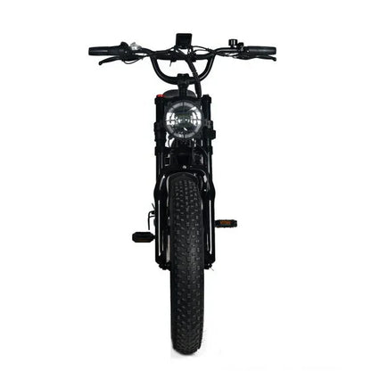 Electric Mountain Bike for Adults | 20 x 4.0 Fat Tires, 1000W Motor, 48V 20Ah Removable Battery, Max Speed 45MPH, Shi Mano 7-Speed for Off-Road Adventures